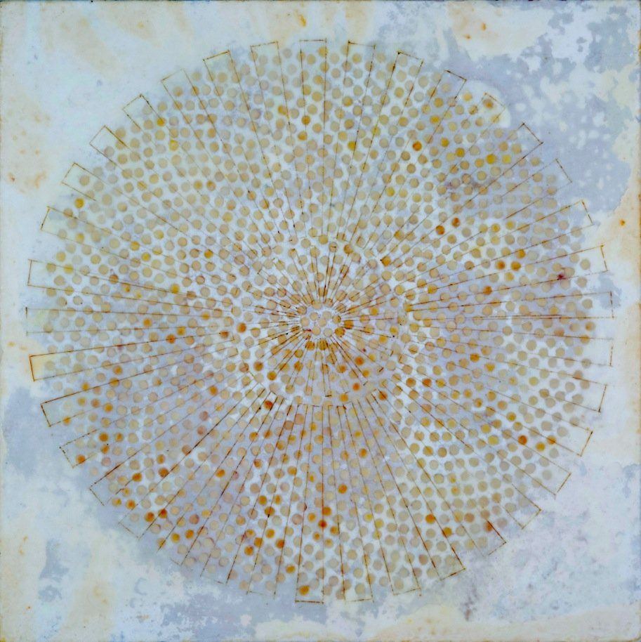 Untitled (Pollen # 1) — Denise Bibro Fine Art